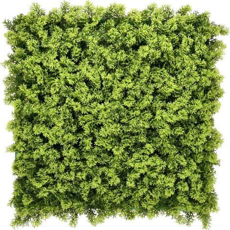 Mur Végétal Artificiel Intérieur Haie Artificielle Panneaux Muraux Toile de Fond Houttuynia cordata, 50 x 50 cm