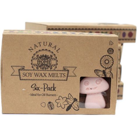 Coffret cadeau de 6 cires fondues - Vieux Gingembre- Vendu par 1 (1/4)