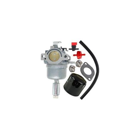Kompatibel mit Vergaser 796587, kompatibel mit Briggs & Stratton Vergasern 594601, 796109, 591731, 594593, 591736, 590400, 796078 (1/5)