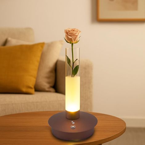 BEPER P207ILI550 Lampada da Tavolo Ricaricabile FLORA, Lampada LED Touch con Vaso Luminoso per Fiori, 3 Tonalità di Luce, 24 Ore di autonomia, Ricarica USB, Luce d’Ambiente Decorativa (1/5)