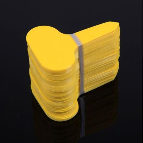 AIDUCHO 100 Pcs 6 X10cm Plantes En Plastique Étiquettes De Type T Jaune (1/3)