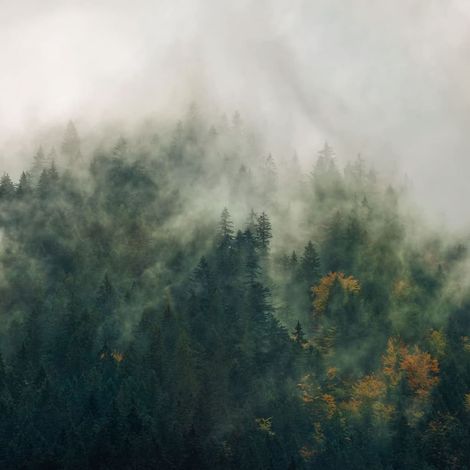 Vlies Fototapete - Tales of the Carpathians - Größe 300 x 250 cm (1/2)