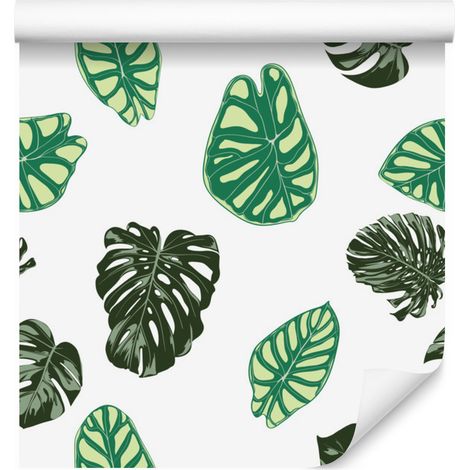 Carta da parati con foglie di Monstera per soggiorno e camera da letto, 50x1000 cm (1/5)