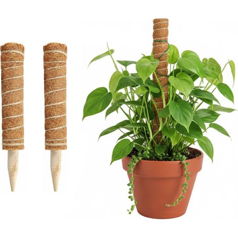 Lot de 2 tuteurs en mousse de coco, pour plantes grimpantes, support télescopique réutilisable, idéal pour les plantes à fleurs (40 cm).