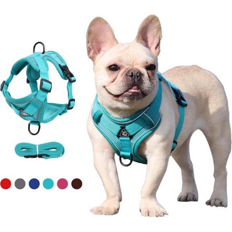 Harnais réglable pour animaux de compagnie - Anneau de stabilisation triangulaire - 2 clips de laisse - Gilet rembourré - Anti-étranglement (1/5)