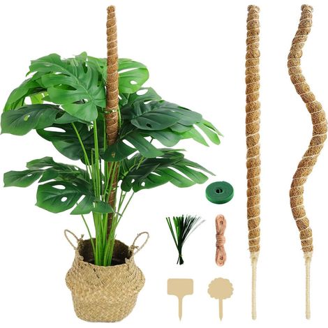 Set mit 4 Gartenstützen für Monstera deliciosa, Kletterhilfe, flexible und biegsame Schaumstoffstäbe, für Efeutute und Kletterpflanzen - XF17 (1/5)