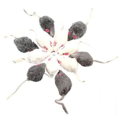 Lot de 12 jouets pour chat (1/3)