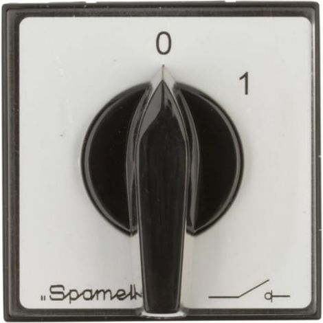 Interruptor de leva 0-1 2P 16A para circuito integrado ŁK16R-1.828P03