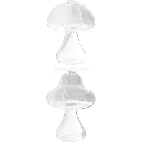 Pices Modernes Hidropnicas Transparentes Florero (1/5)