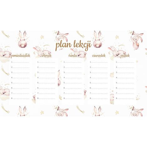 Plan de lección magnético para niños: Conejo lindo (45 x 26 cm)