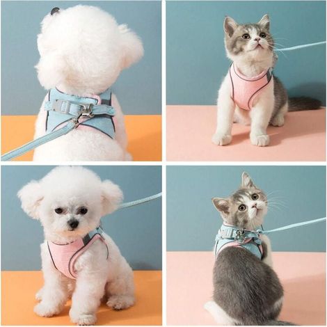 Ensemble harnais et laisse pour chat, harnais anti-traction, respirant, réglable, et facile à promener pour petits chiens et chats (rose, S) (1/4)