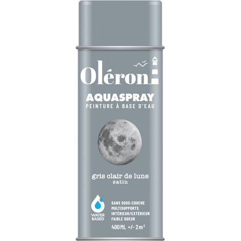 Aquaspray Oléron Gris Lune Peinture Aérosol Acrylique Gris Lune Satiné - Technima
