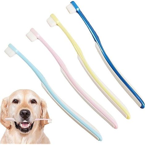 Brosse à dents souple à tête large pour chien et chat, lot de 1, bleue (1/5)