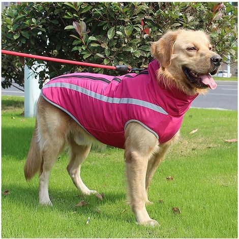Outdoor-Laufbekleidung für große Hunde, Tierbedarf, Herbst- und Winterbekleidung (XL) (1/5)