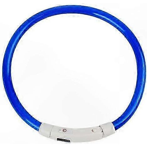 Collier pour chien avec LED clignotante rechargeable USB et lumière de sécurité nocturne (1/5)