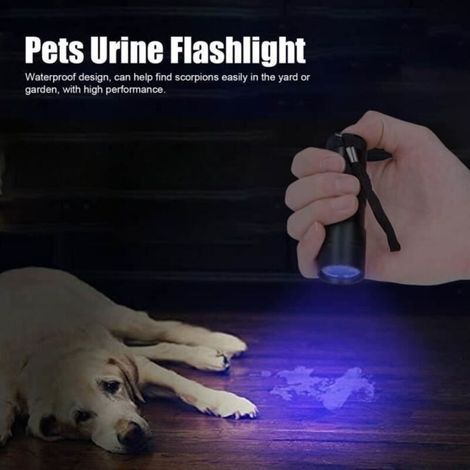 Lampe torche UV Détection des taches d\'urine pour animaux de compagnie Lampe de poche ultraviolette Détecteur de lumière (1/4)