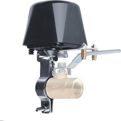 Vanne d'eau intelligente WiFi, compatible avec Google Assistant, application iOS/Android, UE 110V-220V (1/5)