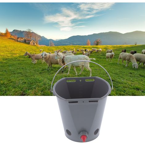 Seau mangeoire de 8 L pour l'élevage, en plastique de qualité alimentaire, avec 5 tétines, gris (pour agneaux). (1/5)