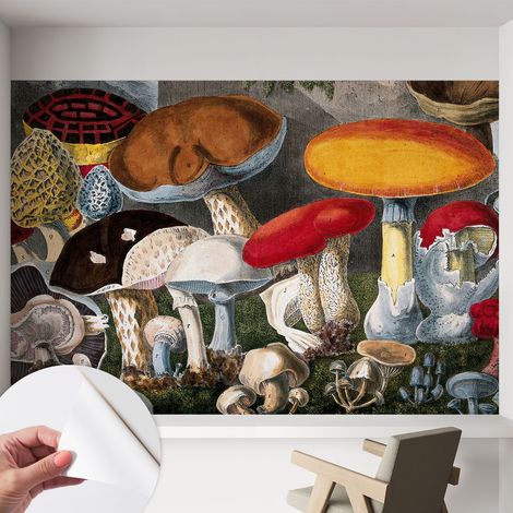 Papier peint autocollant Mural avec colle pour salon et chambre Décoration murale rapide Champignons botaniques 152x104 cm (1/5)