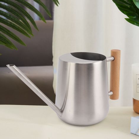 Arrosoir à long bec en acier inoxydable, flacon pulvérisateur épais, arrosoir ménager en métal, couleur acier inoxydable (1/5)