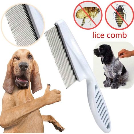 Peigne Anti-Puces pour Chien et Chat, Brosse de Toilettage Éliminant les Poils et les Puces (1/5)