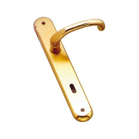 MANIGLIA GIADA CON PLACCA foro Yale IDROWEB