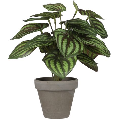 Mica Kunstpflanze Peperomia grün im Topf Ø 23 x 24 cm Zimmerpflanze