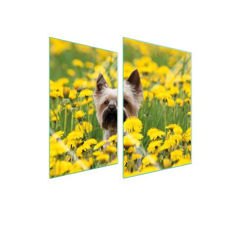 PLACA PROTECTORA DE VIDRIO PARA COCINA 2x35x52 PERRO (1/5)