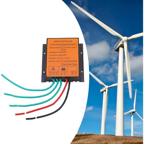 Contrôleur de turbine éolienne à charge basse tension 48 V 300 W (1/5)