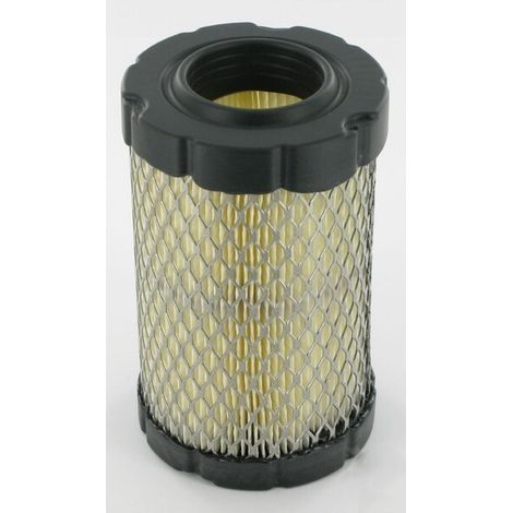 Filtro Air BRIGGS et STRATTON 796031