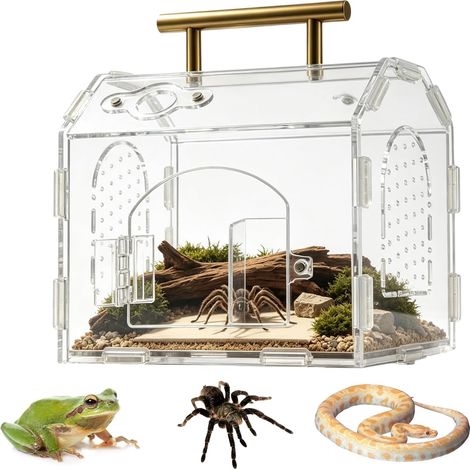 Terrarium panoramique en acrylique à 360° avec poignée et fermeture magnétique, boîtier d'araignée sauteuse transparent, pour divine, grenouilles à feuilles - 15 x 12 x 14 cm (1/5)