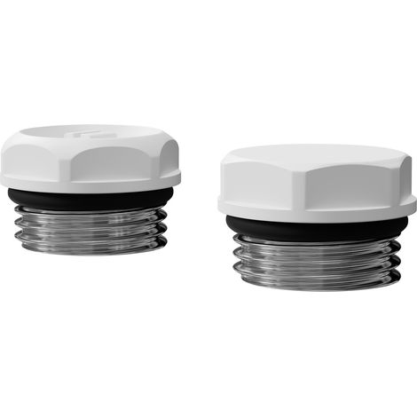 Dias White Bleed Valve and Blanking Plug (1/5)