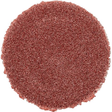 PFERD TOOLS Korund Schleifscheibe selbstklebend PSA Ø 12 mm A240 für Werkzeug-und Formenbau 100 Stk (1/5)