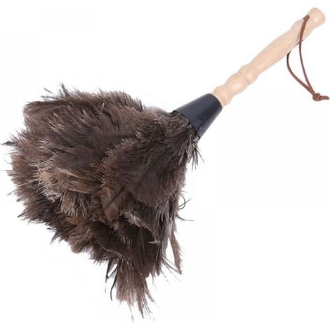 Plumeaux pour la maison et le bureau, plumes d'autruche, plumeaux d'autruche, plumes d'autruche naturelles-DOU