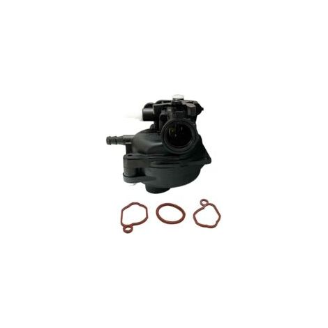 Applicabile ai carburatori Briggs & Stratton 799583 590556 591979 595656