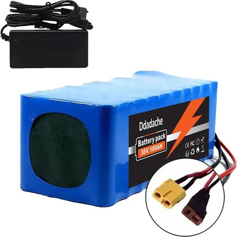 Batterie Lithium, Capacité 100Ah, BMS Inclus, chargeur XT60-T (1/2)