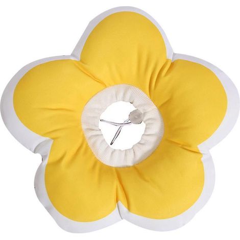 Nouveau collier anti-morsure (1 pièce) (1/3)