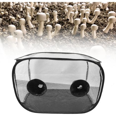 Caja portátil de PVC para el cultivo de setas con ventilación – Kit de cultivo de setas listo para usar – Inflable para facilitar su uso. (1/5)