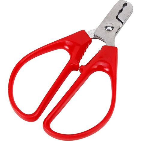 Casse-Noisette Nut Shell Cracker graines Graines de tournesol décortiquer pistache ménage Pince Peeling métal écrou Ouvre-outil de cuisine, d'ouverture Peeling Pinces de graines de melon-LIAIKI (1/5)
