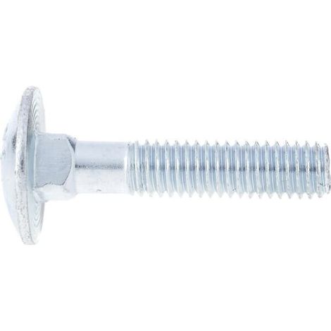 Vite a testa tonda con quadro sottotesta zincata M6x30 8.8 UNIVERSALE 60363088 (1/3)