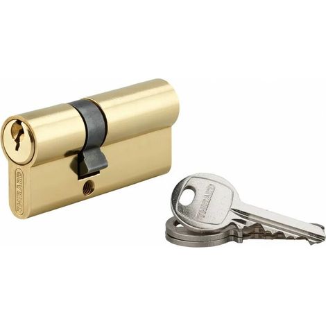 Cylindre de serrure cranté 25 x 40 mm – Laiton avec 5 goupilles – Panneton anti-arrachement – 3 clés en acier nickelé (1/4)