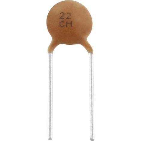 TRU COMPONENTS TC-K22PF500V Keramik-Kondensator THT  22 pF 500 V 5 %  1 St.
