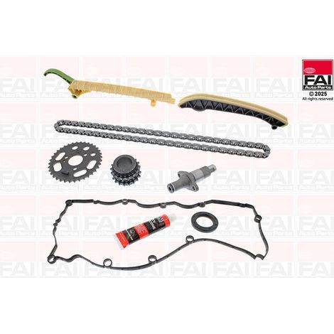 Kit de distribution par chaîne FAI AutoParts TCK117 MERCEDES-BENZ A166 997 01 94