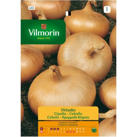 Vilmorin oignon graines vertus S-1 632, 5 gr