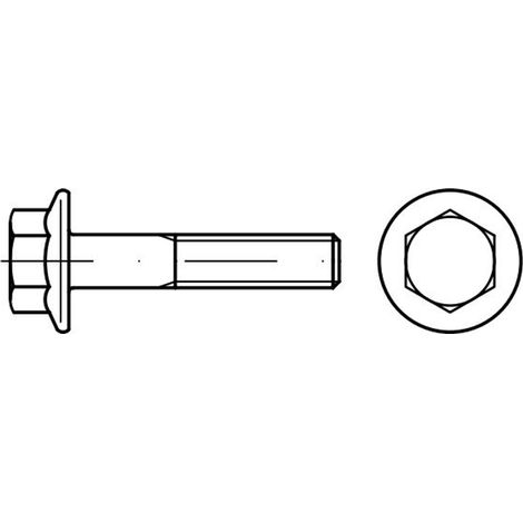 Reidl DIN 6921 Sechskantschraube mit Flansch M 10 x 60 A2 blank (1/3)
