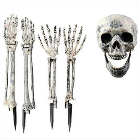 5 Piquets Squelettes Réalistes pour Halloween Tête de Mort Réaliste Bras Humains pour Décoration de Fête D'Halloween de Maison e (1/5)