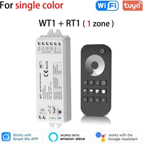 Tuya Controller a 2 Canali per Strisce LED Smart WiFi ed RF (1/5)