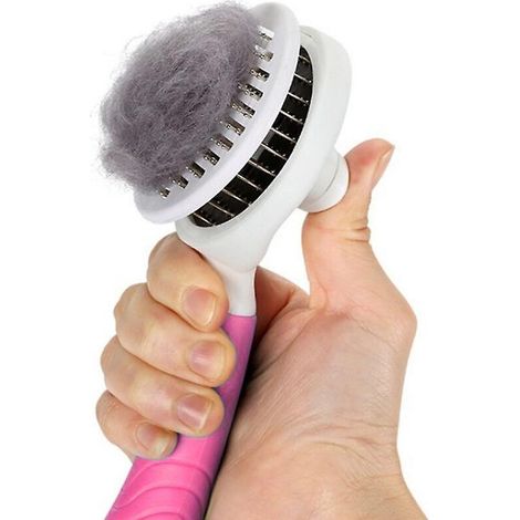 Brosse de toilettage pour chiens avec élimination des poils en un clic pour chats