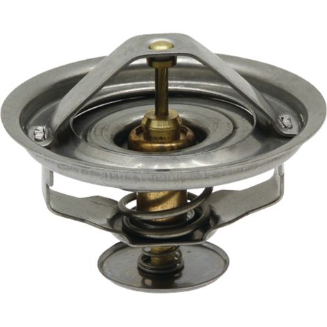 Termostato con O-ring 85mm 74760012 GRANIT G199204010020