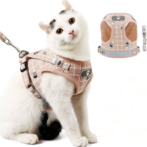 Harnais pour chat, laisse souple de 6 m, harnais anti-fugue, harnais réglable pour chats (1/5)